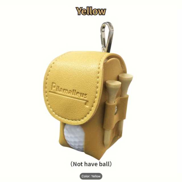 Golf ball case for two balls and tees