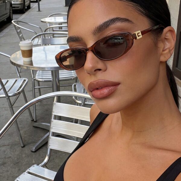 Retro Oval Narrow Frame Brown Fashion Glasses, Women's Classic Plastic Eyewear For Outdoor Travel Beach Vacation Casual Wear, Summer Shades, Unisex