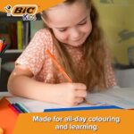 BIC Kids Tropicolors Colouring Pencils Pack of 24 – Vibrant Colour Pencils for Drawing - Image 3
