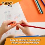 BIC Kids Tropicolors Colouring Pencils Pack of 24 – Vibrant Colour Pencils for Drawing - Image 4