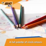 BIC Kids Tropicolors Colouring Pencils Pack of 24 – Vibrant Colour Pencils for Drawing - Image 5