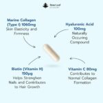 Marine Collagen Type 1 Peptides, 100% Hydrolysed Collagen with Hyaluronic Acid & Vitamin C, 60 Capsules - Image 7