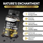 Shilajit Sea Moss & Lion’s Mane 3-in-1 Complex, 11500mg with Ashwagandha & Black Pepper, 120 Vegan Capsules - Image 4