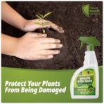 Whitefly Killer Spray 500ml – Plant Insecticide Soap for Houseplants, Outdoor Plants & Gardens, Fast-Acting Pest Control - Image 3