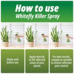 Whitefly Killer Spray 500ml – Plant Insecticide Soap for Houseplants, Outdoor Plants & Gardens, Fast-Acting Pest Control - Image 5
