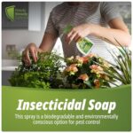 Whitefly Killer Spray 500ml – Plant Insecticide Soap for Houseplants, Outdoor Plants & Gardens, Fast-Acting Pest Control - Image 2